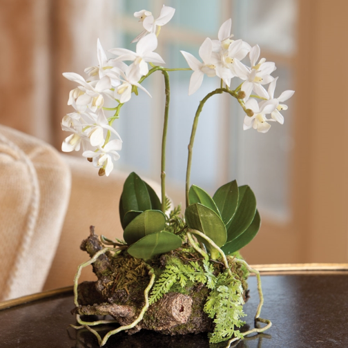 MINI DENDROBIUM WITH RUSTIC NATURAL DROPIN 11.5"