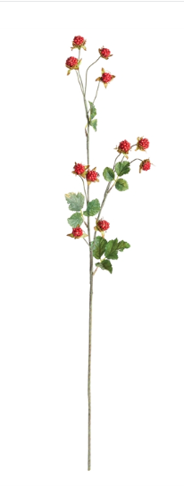 WILD RASPBERRY STEM 31" - RED