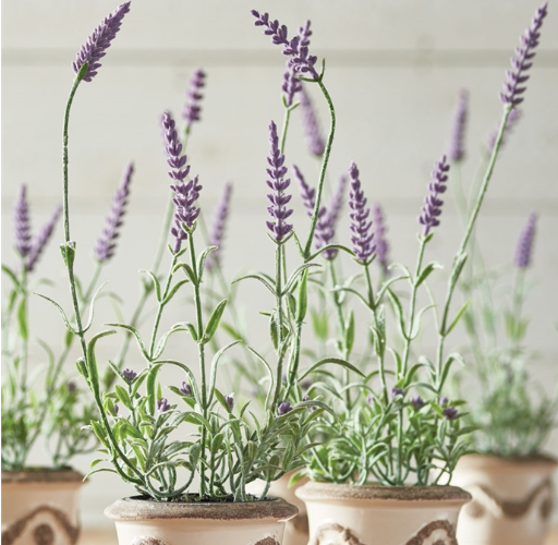 FRENCH LAVENDER DROPIN 3" X 13"