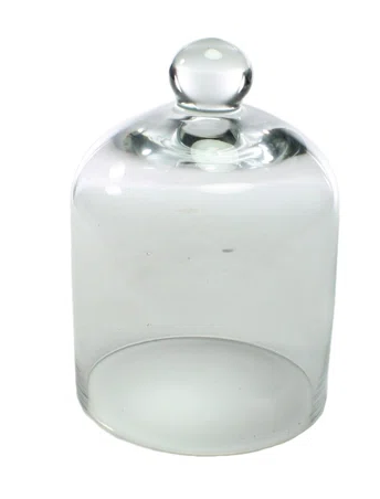 GLASS CLOCHE DOME - ASSORTED