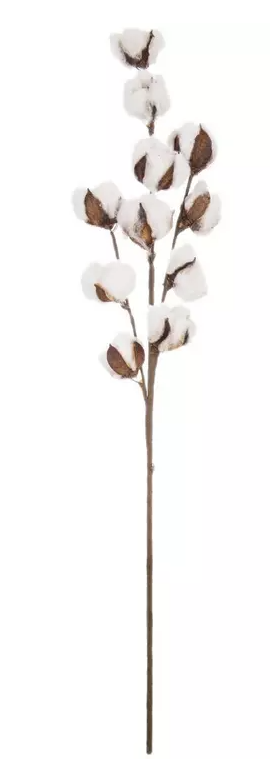 COTTON STEM