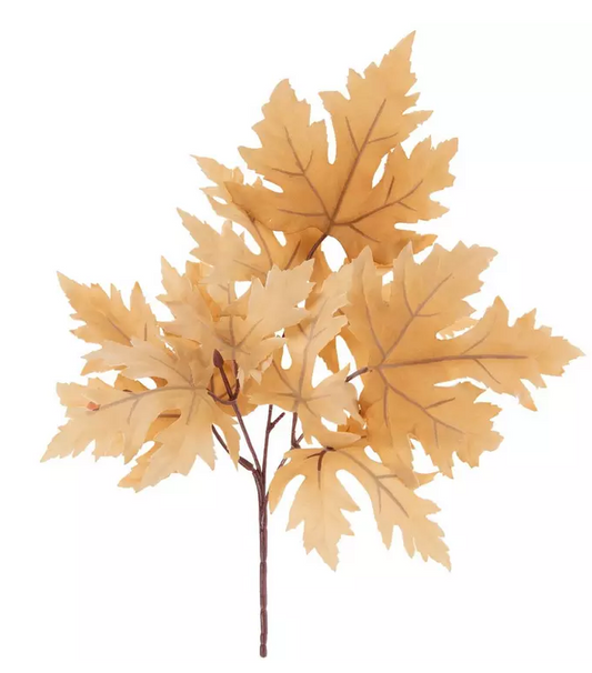 FALL LIGHT BROWN MAPLE LEAVES PICK