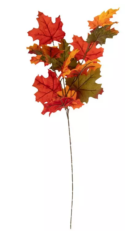 FALL MAPLE LEAVES STEM