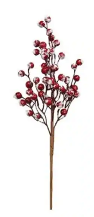 RED BERRY STEM WITH SNOW