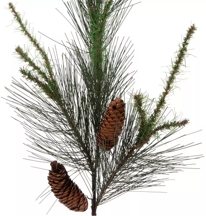 MONTEREY PINE & PINECONE BRANCH