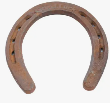 GOOD LUCK HORSE SHOE - CAST IRON FUST