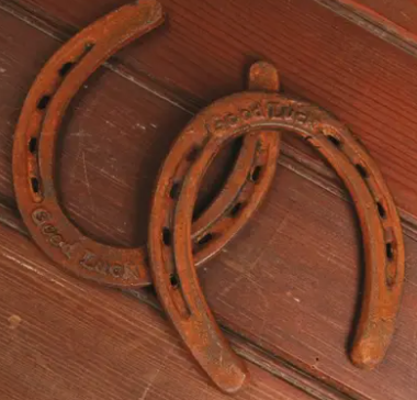 GOOD LUCK HORSE SHOE - CAST IRON FUST