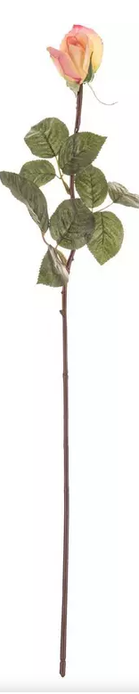 ROSE AND ROSE BUD STEM