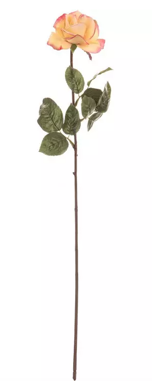 ROSE AND ROSE BUD STEM