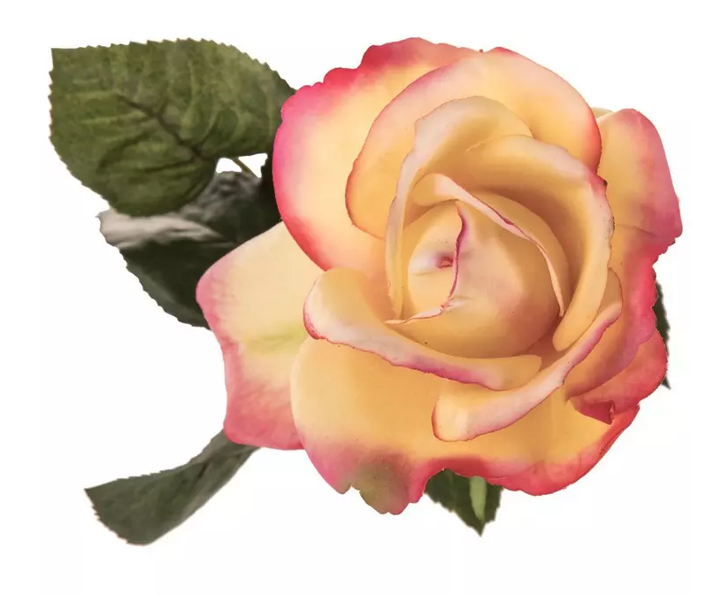 ROSE AND ROSE BUD STEM