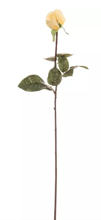 ROSE AND ROSE BUD STEM