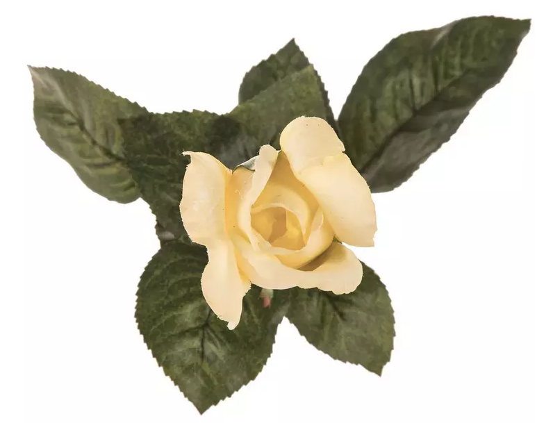 ROSE AND ROSE BUD STEM