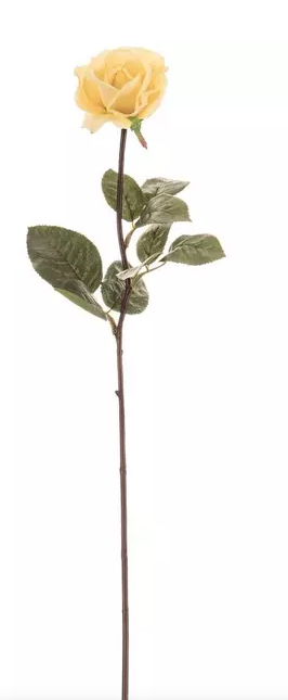 ROSE AND ROSE BUD STEM