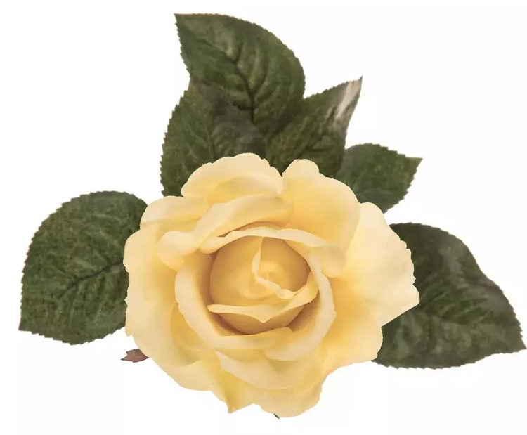 ROSE AND ROSE BUD STEM