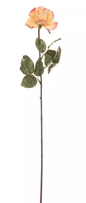 ROSE AND ROSE BUD STEM
