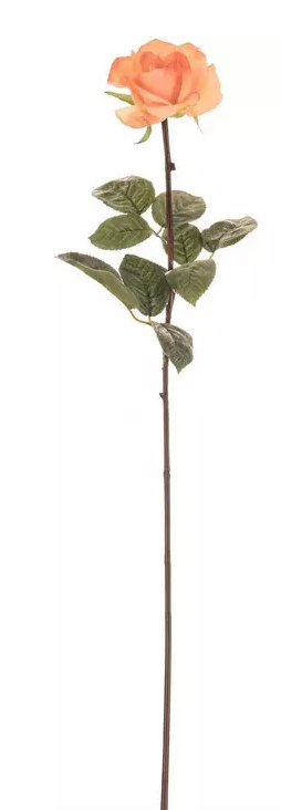 ROSE AND ROSE BUD STEM