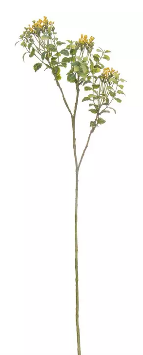PIERIS BUD & LEMON LEAF SPRAY - ASSORTED