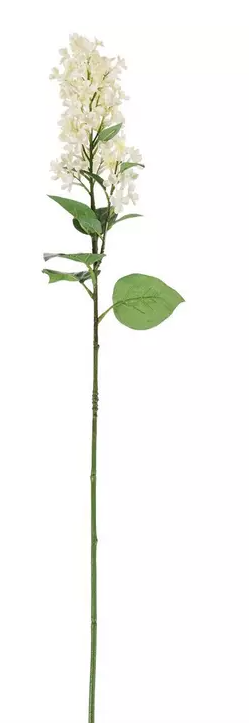 WHITE LILAC STEM