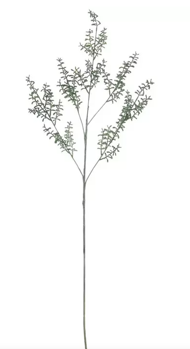 FIELD GRASS SPRAY