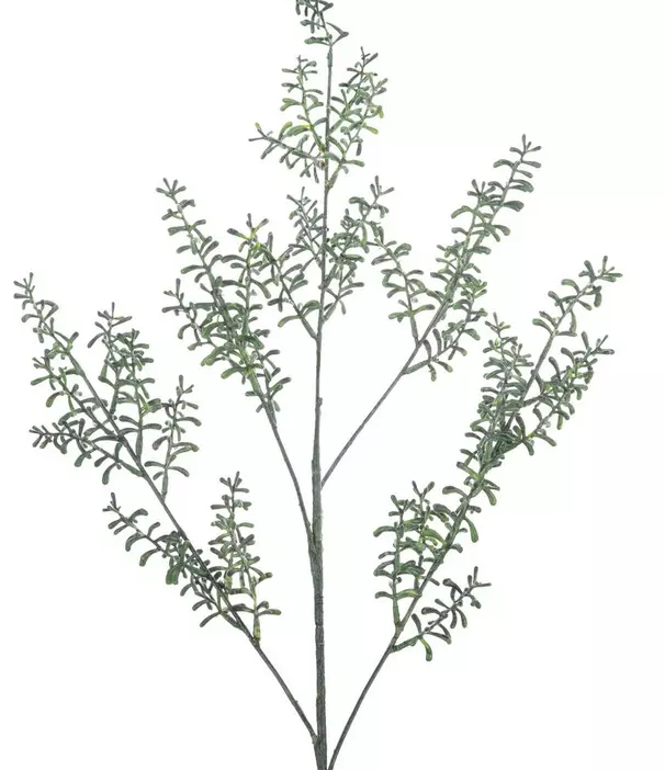 FIELD GRASS SPRAY