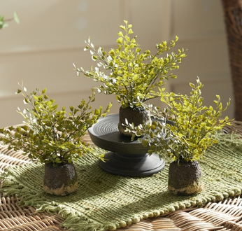 MAIDENHAIR FERN DROP-IN