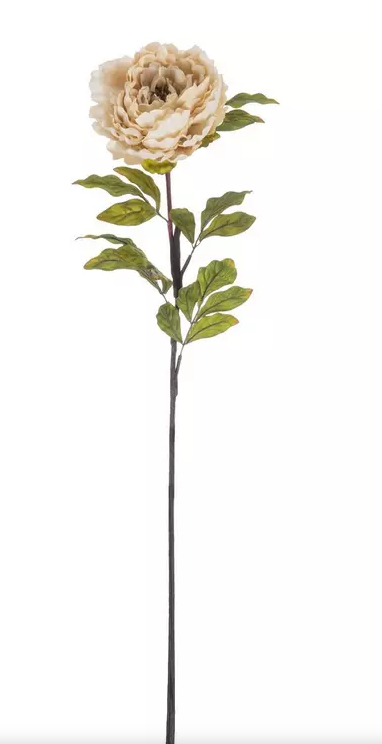 PEONY STEM