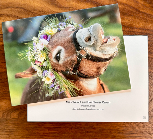 WILDLIFE COLLECTION 5X7 GREETING CARDS BY DEBBIE KARNES PHOTOGRAPHY