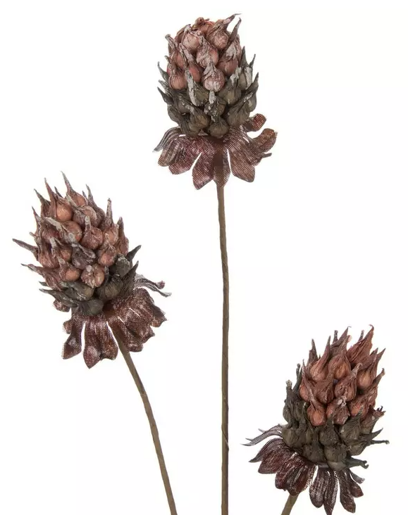 CORAL CYNARA STEM