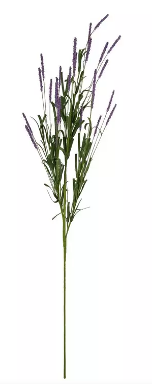LAVENDER STEM
