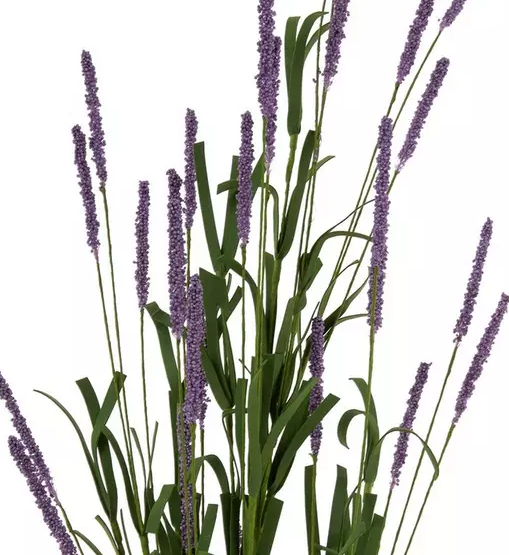 LAVENDER STEM