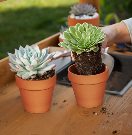 TERRACOTTA MINI PLANTER POT