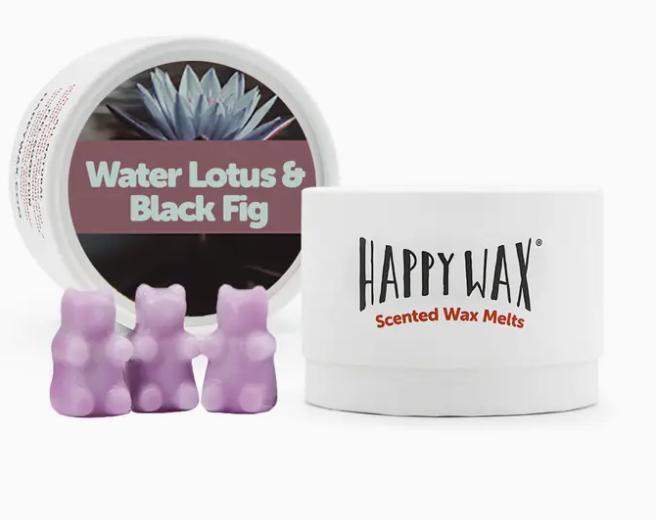 HAPPY WAX WAX MELTS