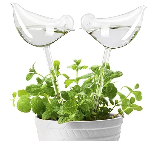 CLEAR GLASS BIRD SHAPED SELF-WATERING GLOBES