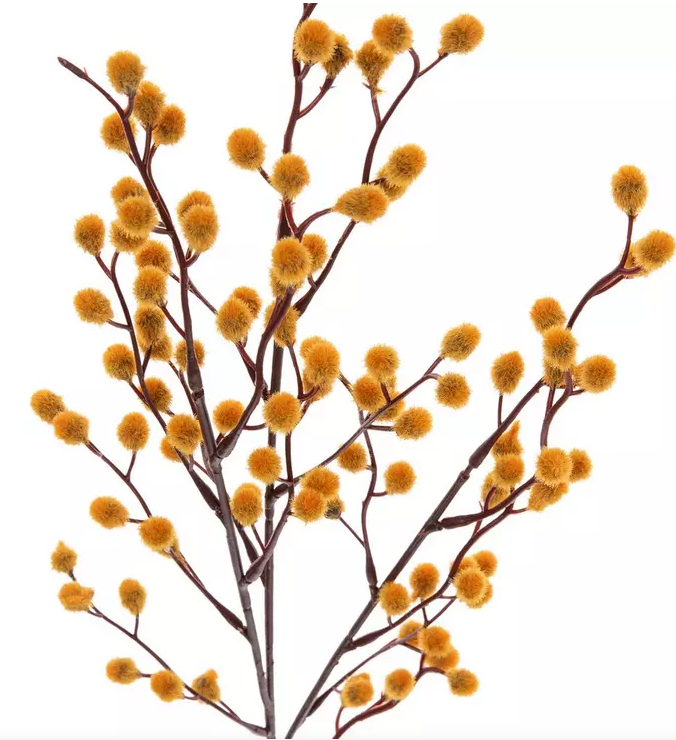 POM POM BUSH - ASSORTED