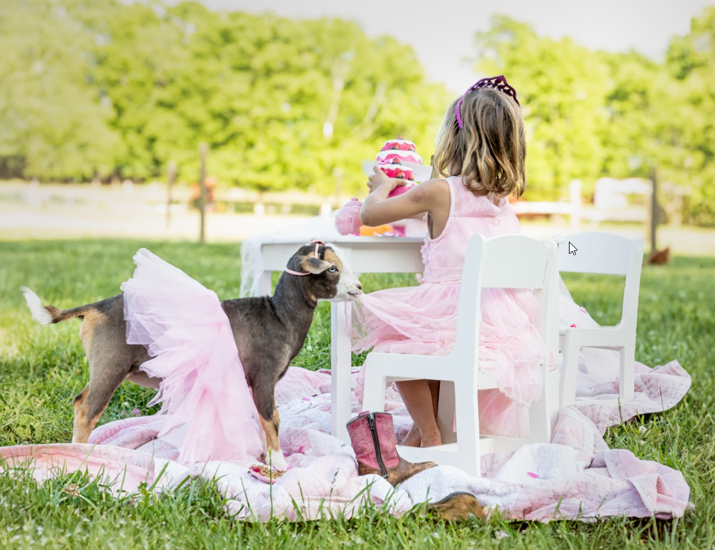 8x10 PHOTOS WITH 10x14 INTERCHANGEABLE MAT BY DEBBIE KARNES PHOTOGRAPHY