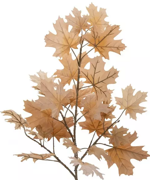 FALL BROWN MAPLE BRANCH