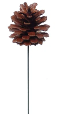 PINECONE PICK