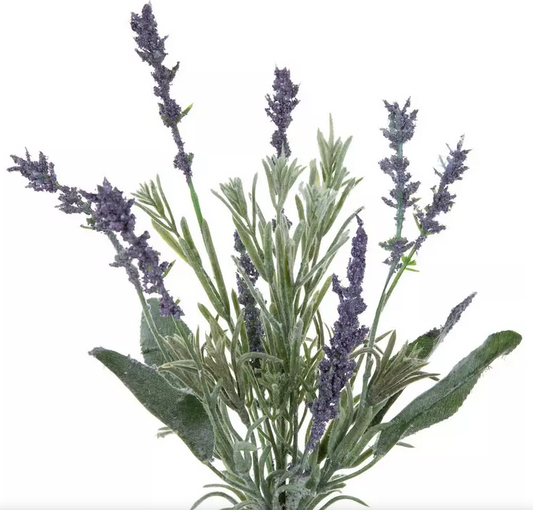 LAVENDER BUSH