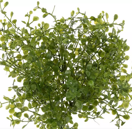 MINI LEAF BUSH