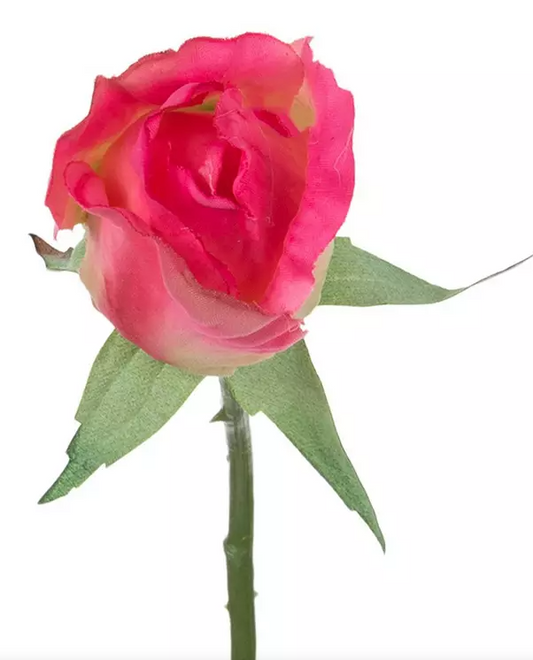 MINI ROSE BUD - ASSORTED