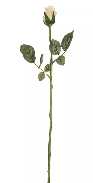 ROSE BUD STEM - ASSORTED