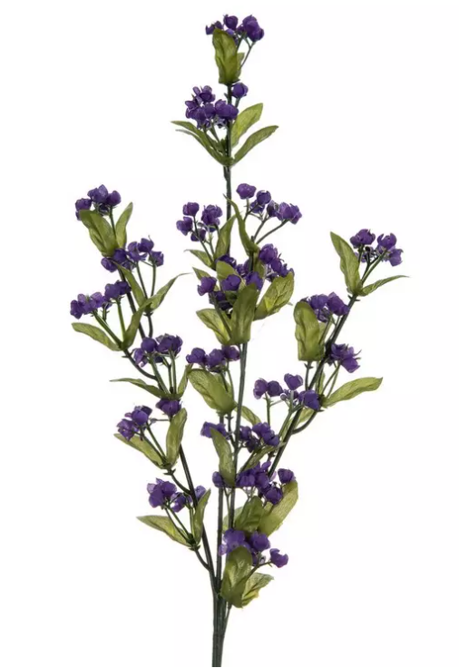 GYPSOPHILA STEM - PURPLE