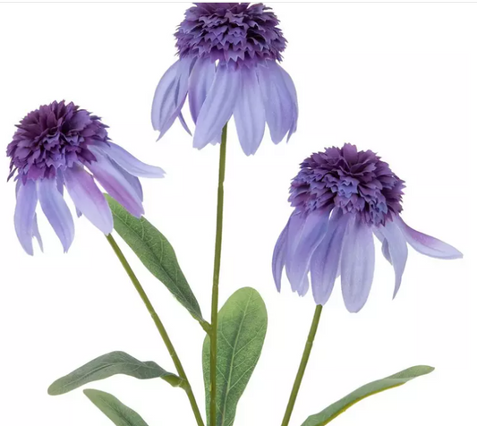 PURPLE DAISY STEM