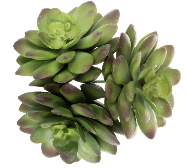 GREEN SUCCULENT PICK