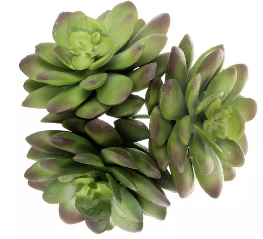 GREEN SUCCULENT PICK