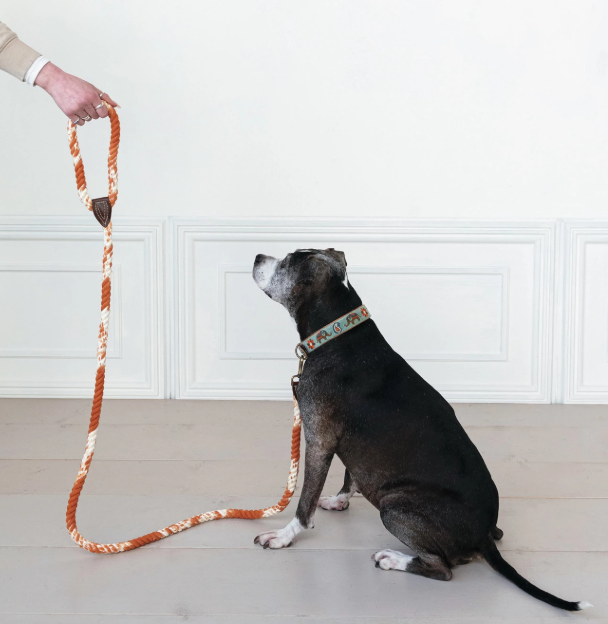 6' BRAIDED COTTON ROPE & LEATHER DOG LEASH W/ METAL CLASP - ASSORTED