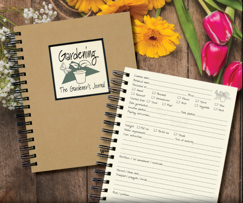 JOURNALS UNLIMITED -"WRITE IT DOWN" FULL SIZE JOURNALS (KRAFT)