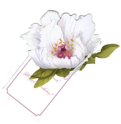 STEVIE STRECK DESIGNS - GREETING CARDS - ASSORTED