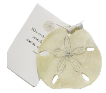 STEVIE STRECK DESIGNS - GREETING CARDS - ASSORTED