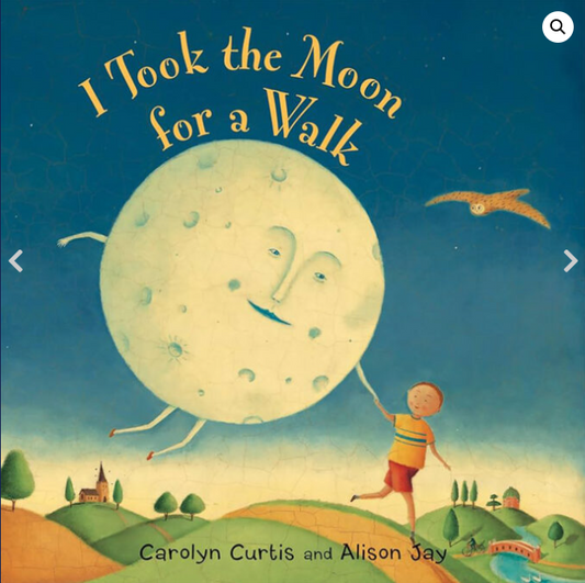 I TOOK THE MOON FOR A WALK